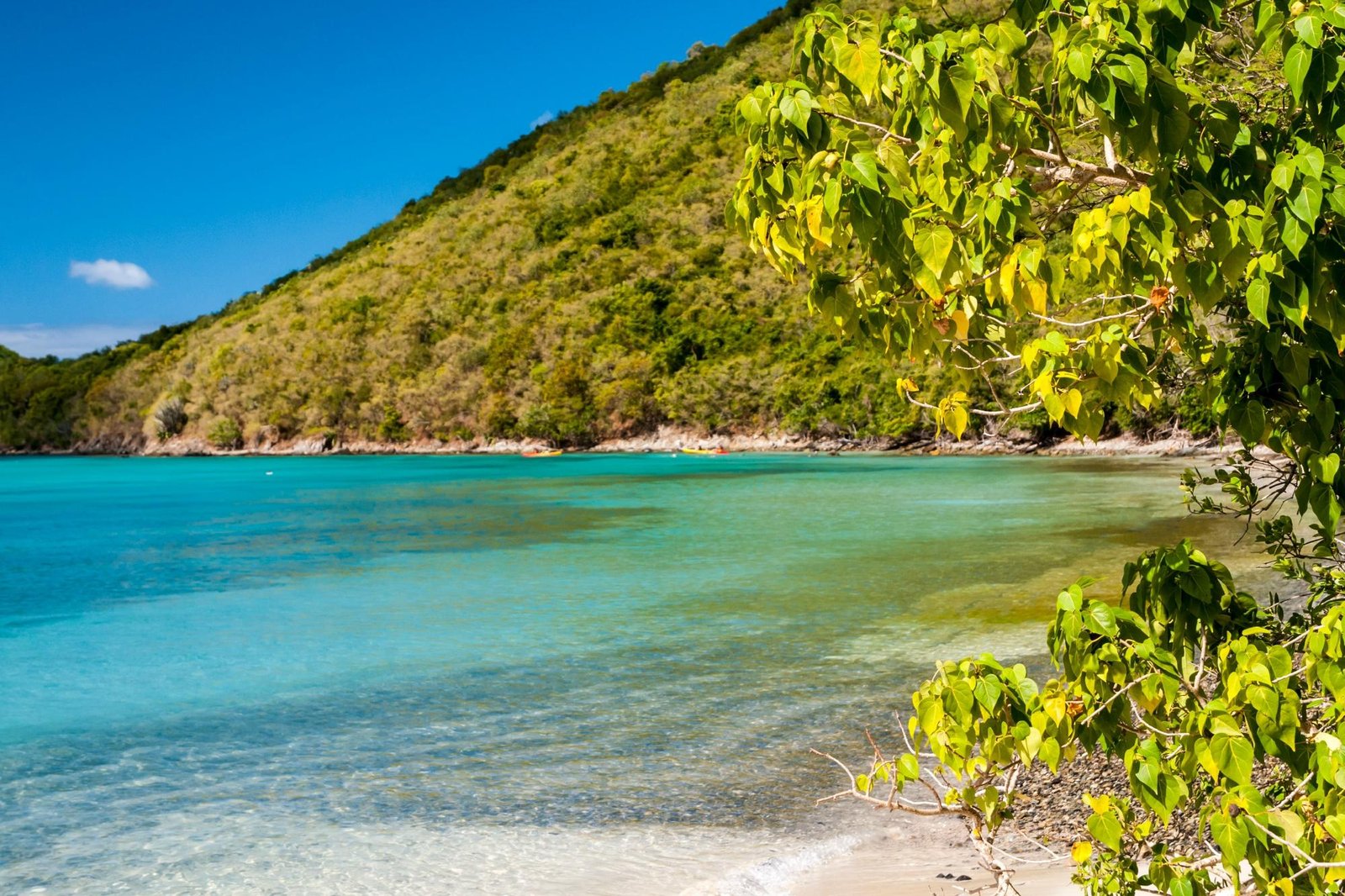 Francis Bay Beach